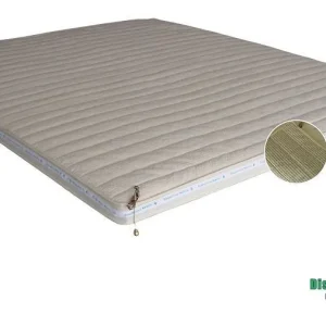 Biofonte Rigenera Top